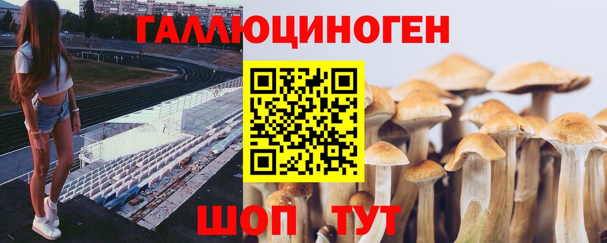 Галлюциногенные грибы Psilocybe Артём