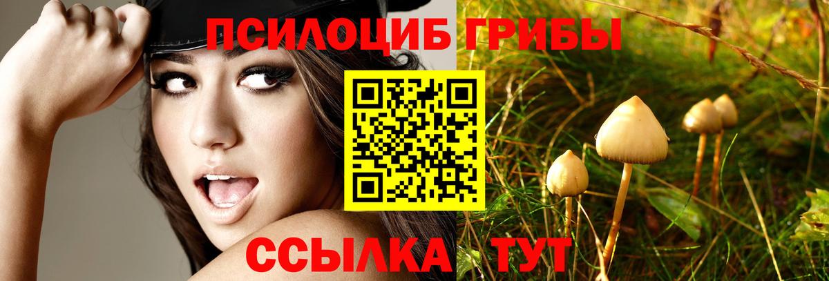 Галлюциногенные грибы MAGIC MUSHROOMS  Вход с VPN  Артём  Галлюциногенные грибы прущие грибы 